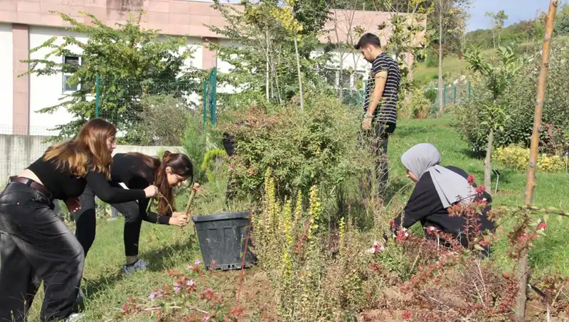 Düzce’den Dünyaya Açılan Kapı: Hayaller Gerçek Oluyor!