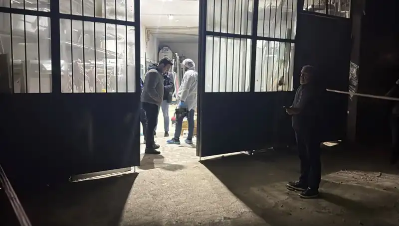 İş Yerinde Korkunç Cinayet: Battaniyeyle Örtülen Gizemli Olay